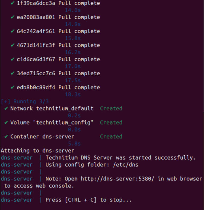 A terminal showing the Docker container output of Technitium DNS server.