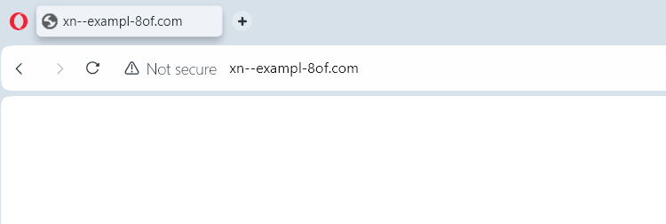 punycode showing for a domain