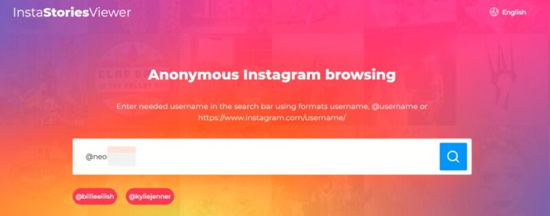 Searching for Instagram account using Insta Story Viewer tool. 