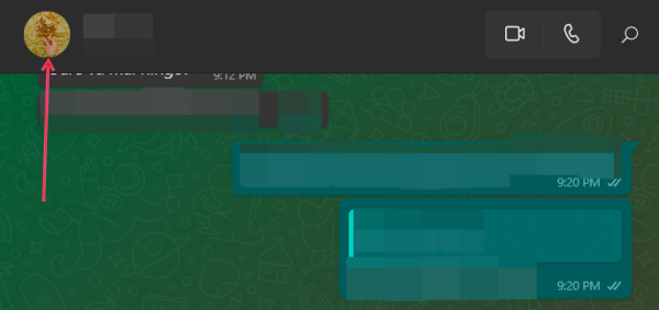 Clicking on profile picture in conversation on WhatsApp on PC.