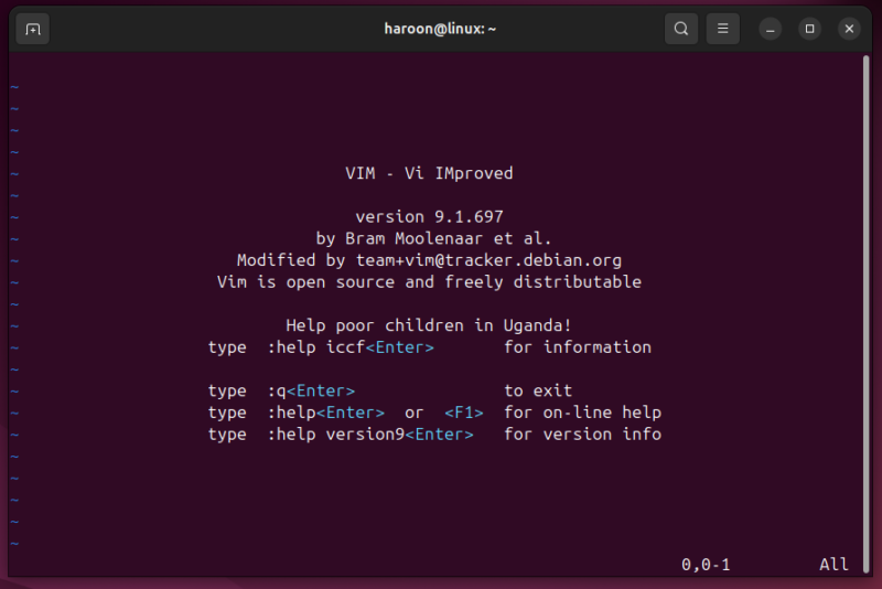 Launching Vim From The Ubuntu Terminal.