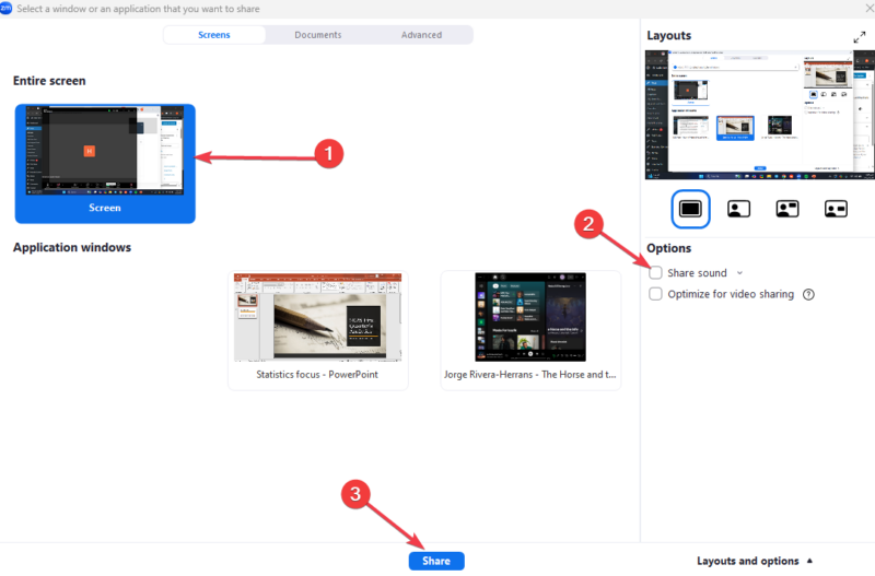 Zoom Share Entire Screen