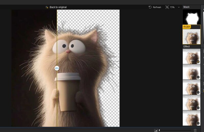 Aiarty Image Matting with a cat.