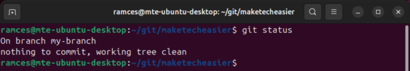 A terminal showing the output of the status subcommand running inside the my-branch branch.
