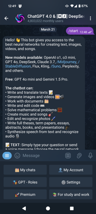 Viewing ChatGPT bot features and options in Telegram app. 