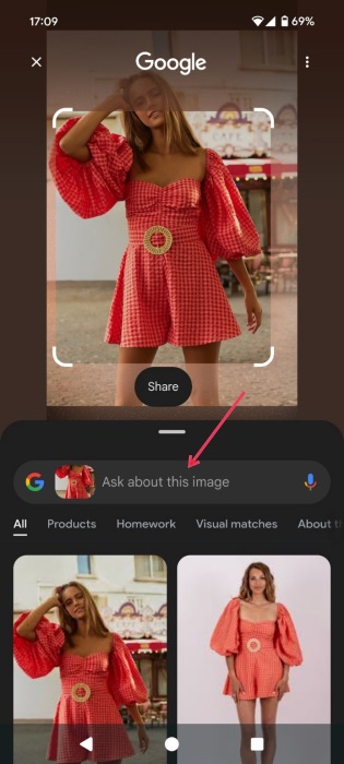Asking about image via Google's Circle to Search function.