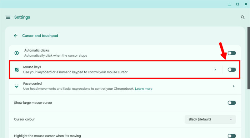 Mouse Keys Settings In Chromebook