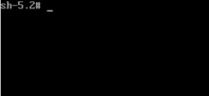 A terminal showing the Debug Mode prompt working properly.