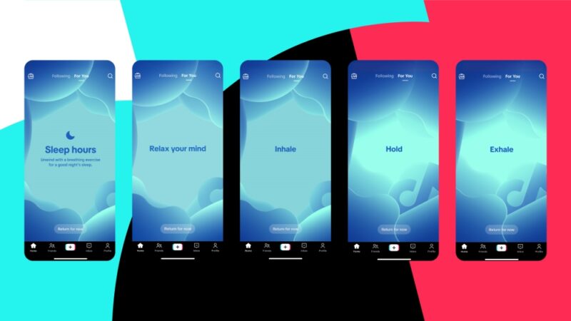 TikTok Time Away feature activated in app.