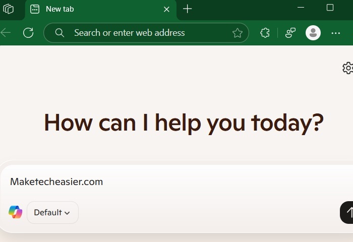 Normal web URL opening in Copilot in default mode.