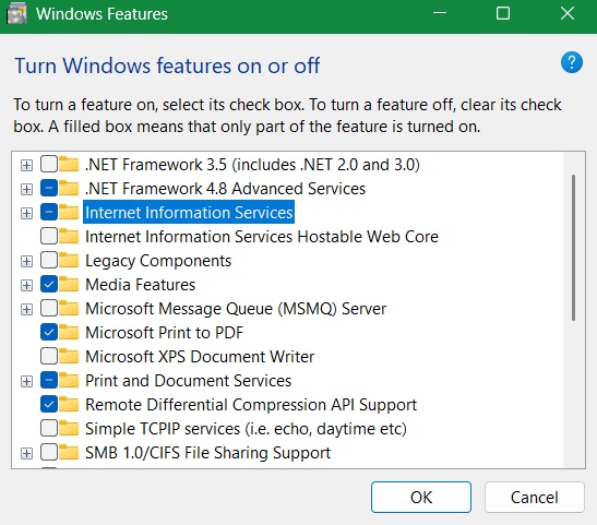 Internet Information Services menu enabled under Windows features.