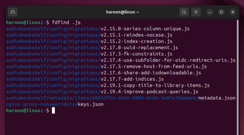 Searching File Through Fd Command