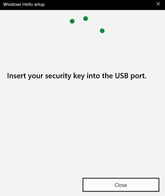 "Insert your security key" into the USB port, a native Windows sign-in method.