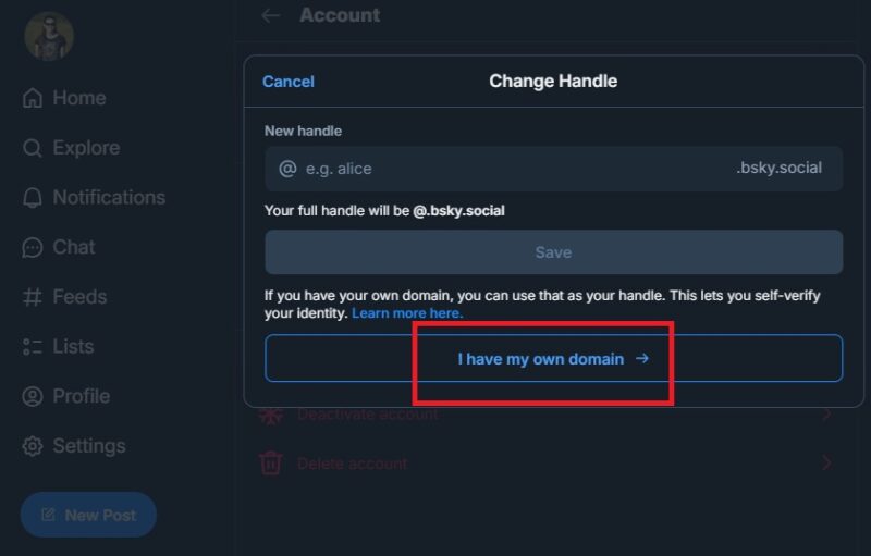 Setting up domain on Bluesky.
