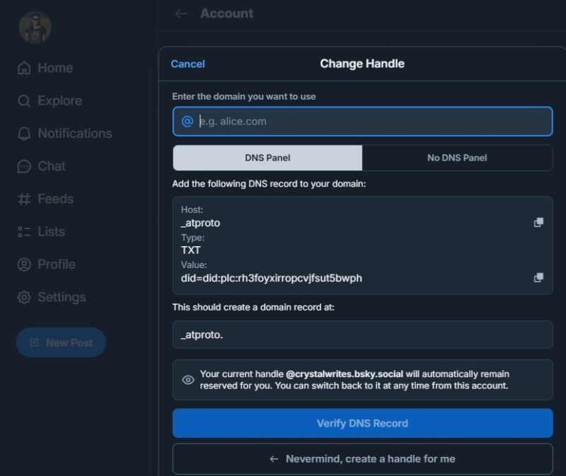 Adding domain name to your Bluesky account.