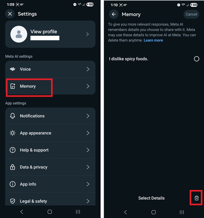 Deleting memories on Meta AI.
