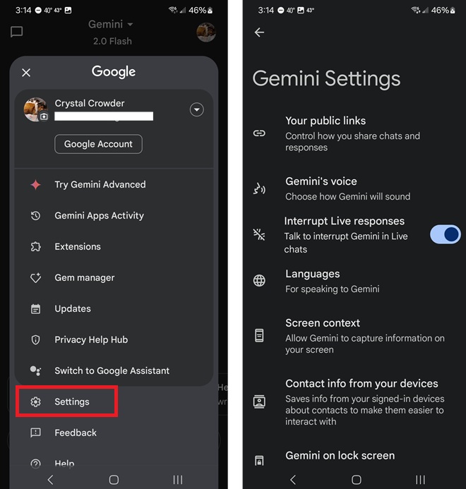 Accessing Gemini settings. 