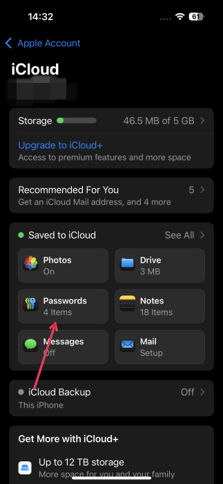 Selecting "Password" option in iCloud settings on iPhone. 