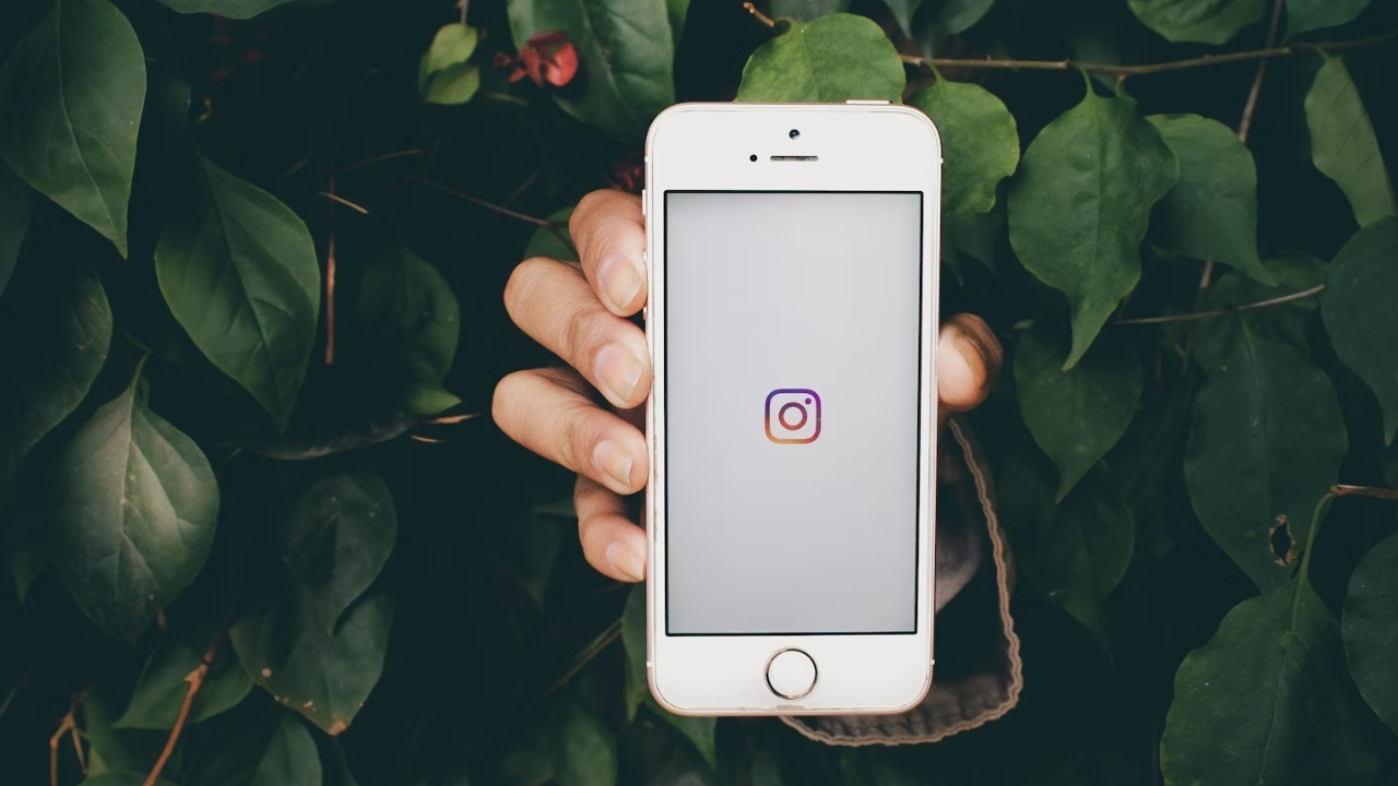 Instagram logo on phone in front of bushes.