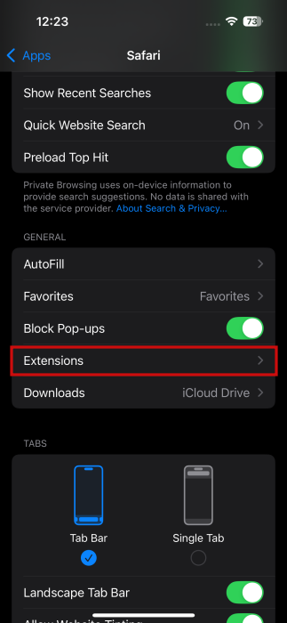 Tapping on Extensions option in iPhone settings.