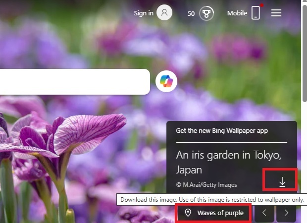 Manually download a wallpaper from Bing.