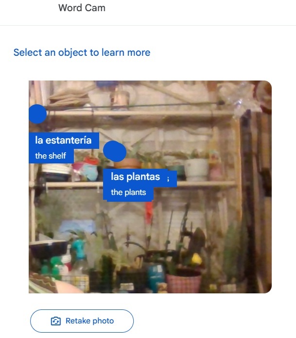 Taking a picture with Word Cam.