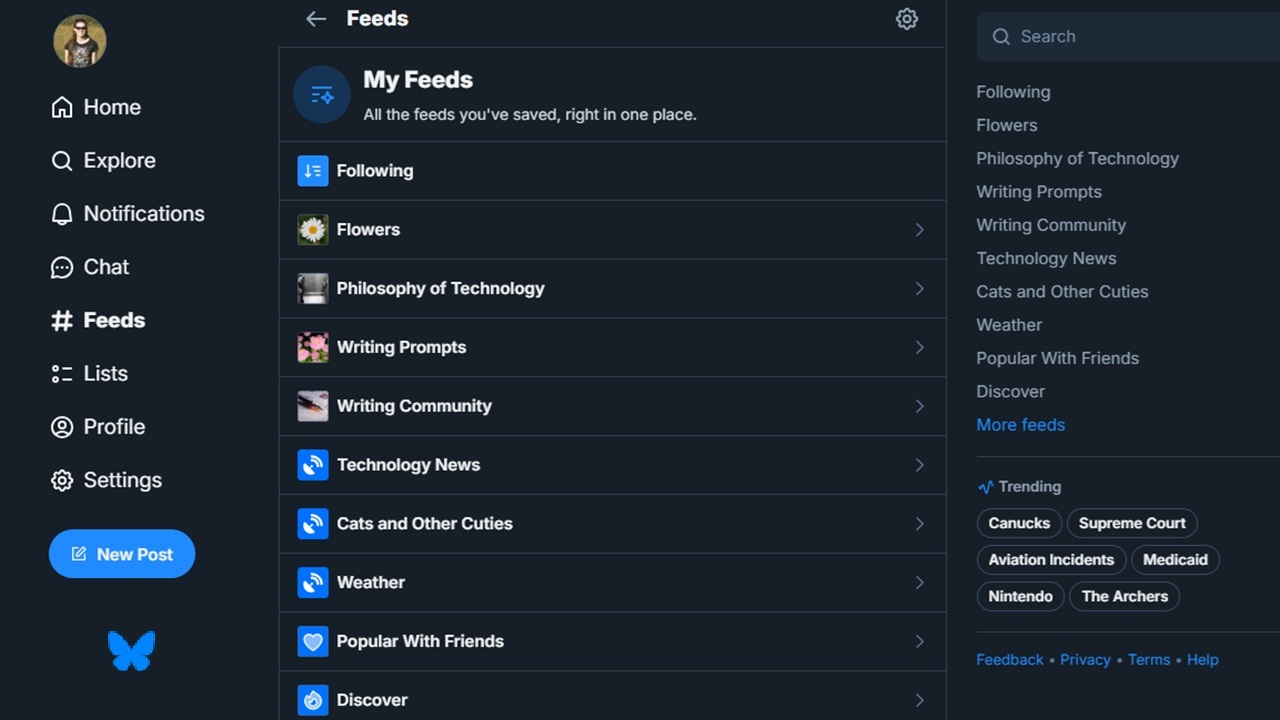 Best Tips for Customizing Your Bluesky Feeds