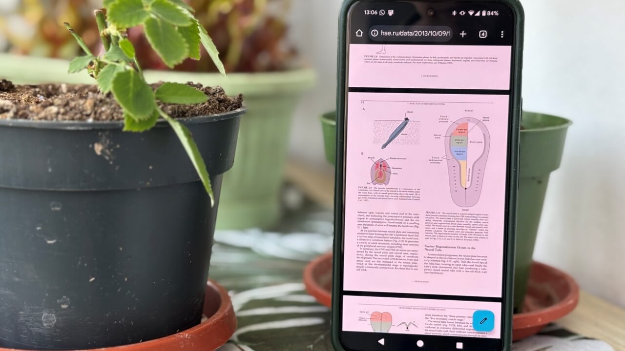 How to Use Chrome to Easily View PDFs on Android (No Third-Party Apps)