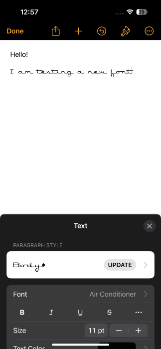 New font from Font Diner showing in Pages app on iPhone.