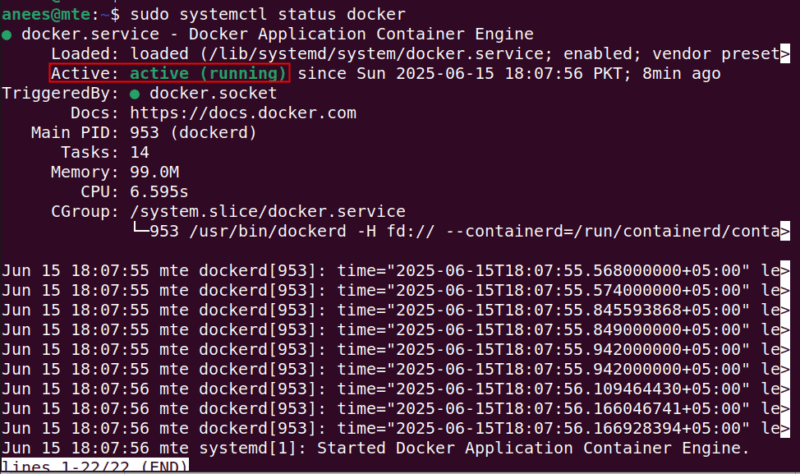 Check Docker Status