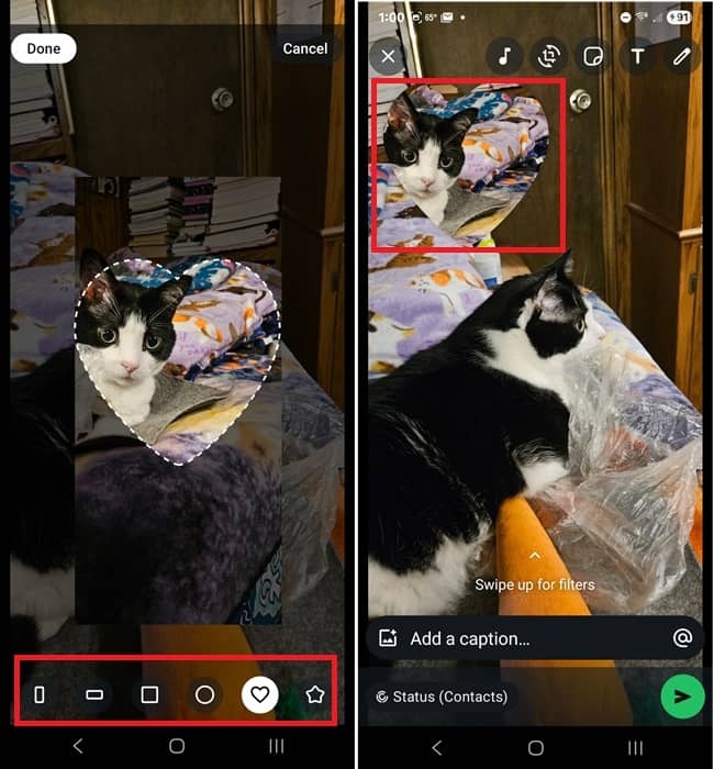 Adding a heart shaped photo sticker to my status.