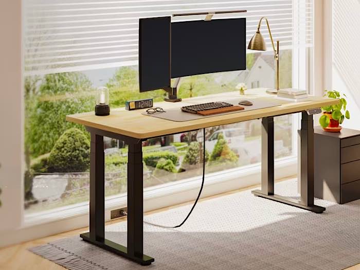 Flexispot Memorial Deal E7 Plus