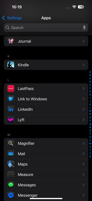 Selecting an app that makes use of Dynamic Island from iPhone settings. 