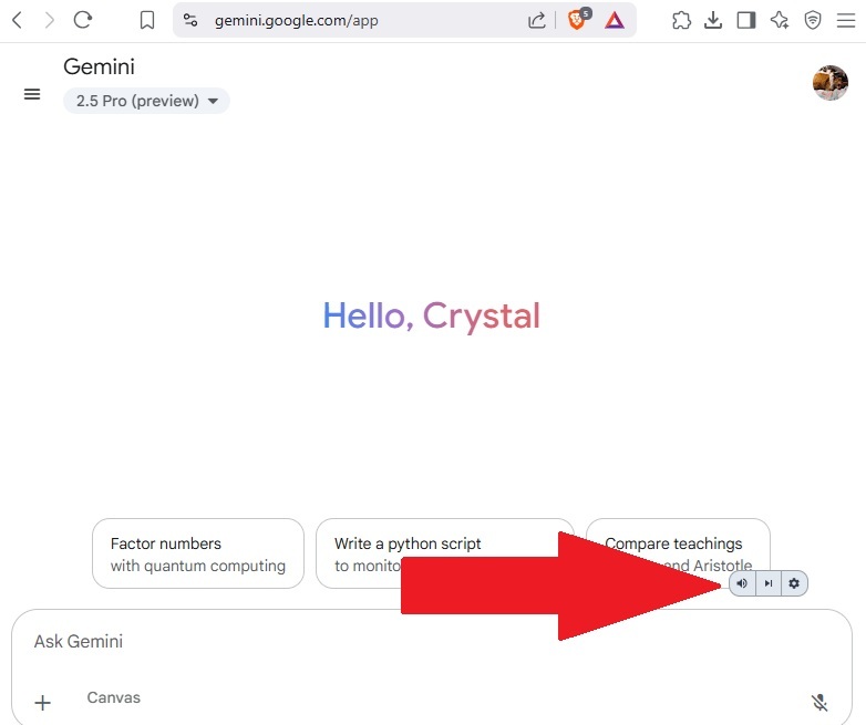 Using the Voice Control for Gemini buttons.