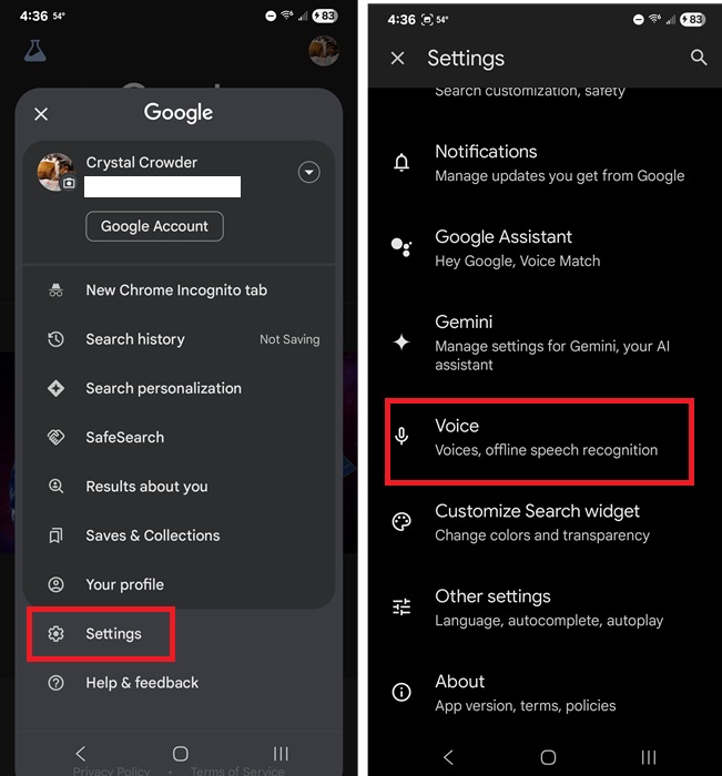 Selecting Voice in Google app settings.