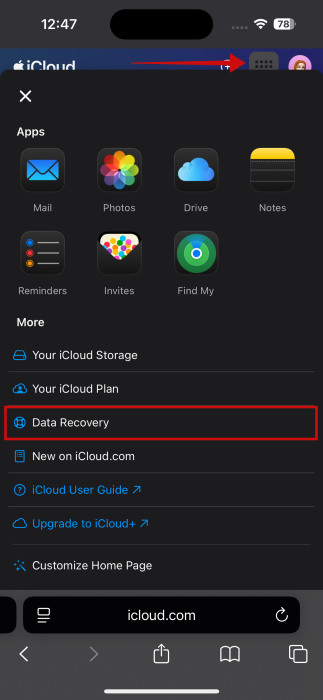 Pressing on "Data Recovery" option in iCloud on iPhone. 