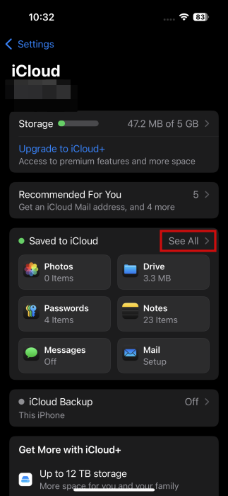 Tapping on "See All" option in iCloud on iPhone. 