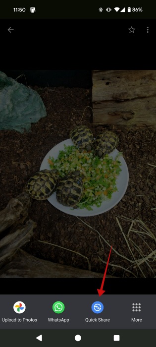 Tapping on "Quick Share" button on image view screen on Android.