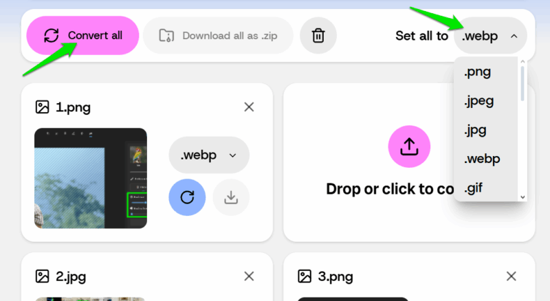 Selecting format in VERT interface