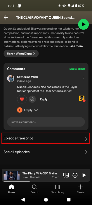 Tapping on "Episode transcript" option in podcast episode view on Spotify app. 