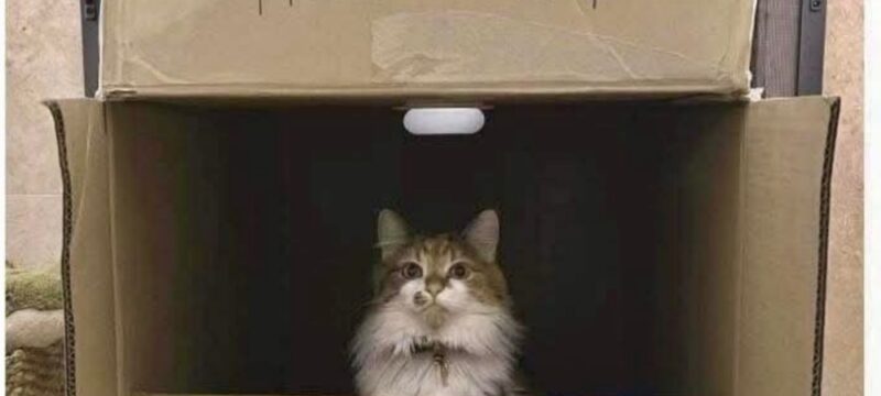 Photos screen saver view on Android.