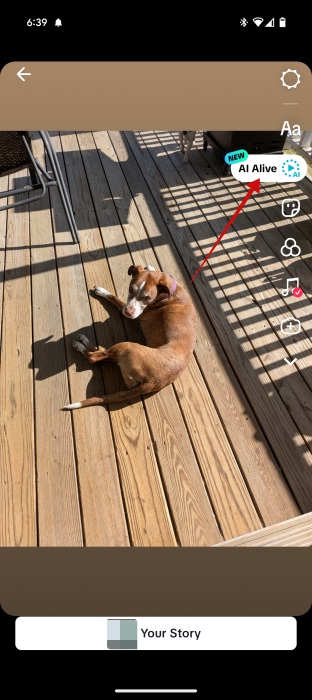 Tapping on "AI Alive" option in Story creation screen in TikTok app. 