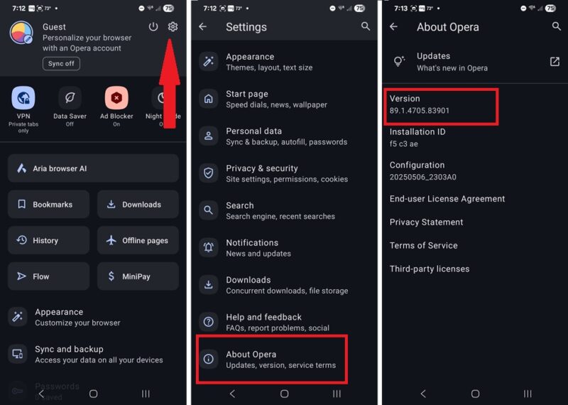 Checking Opera version number.