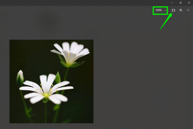 WhatsApp photo preview with zoom options