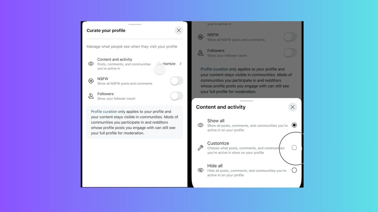 Easily Curate Your Reddit Profile to Hide Posts, Comments, and NSFW Activities