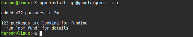 Installing Google Gemini Cli