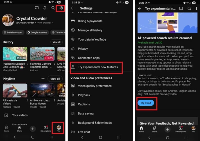 Enabling AI-powered search results carousel in YouTube app.