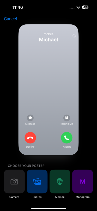 Selecting poster type for additional contact on iPhone.