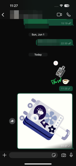 Sending various custom emoji in WhatsApp conversation on iPhone.