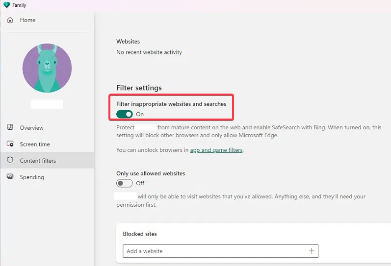 Filter Inappropriate Settings